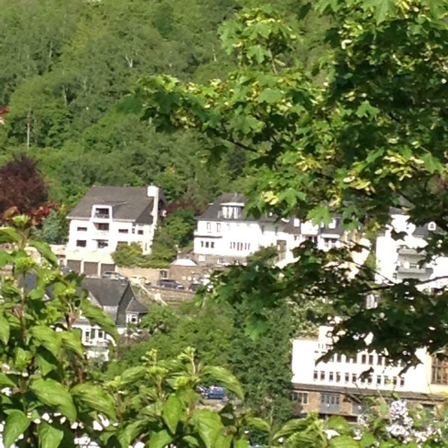 Stadtblick Cochem Kültér fotó